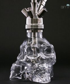 AMIR`S 300 3D SKULL